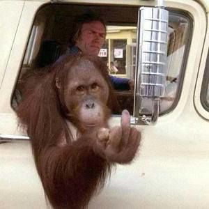 Meet your Posher, Bill